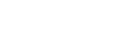 Bluestone Physician Services